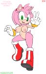  amy_rose anthro areola big_breasts breasts english_text erect_nipples female green_eyes habbodude hair hedgehog looking_at_viewer nipples nude pink_hair pussy rav sega smile sonic_(series) text 