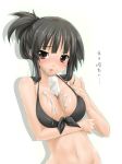  akiyama_mio between_breasts big_breasts bikini blush breasts high_res highres k-on! large_breasts popsicle sexually_suggestive solo swimsuit yukinon yukinon_(tsuki_koubou) 