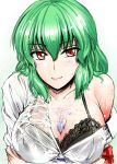  1girl between_breasts big_breasts black_bra blush bra breasts bust cleavage female green_hair hose kazami_yuuka large_breasts off_shoulder red_eyes see-through sexually_suggestive shirt short_hair slit_pupils smile solo touhou underwear upper_body wet wet_clothes wet_shirt y2 