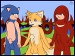  knuckles_the_echidna miles_&quot;tails&quot;_prower multiple_tails sega sonic sonic_team sonic_the_hedgehog tail 