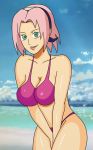  alluring bikini female green_eyes naruto naruto_shippuden pink_hair sakura_haruno shablagooo 