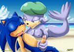  archie_comics bbmbbf mobius_unleashed palcomix sealia_the_seal sega sonic_(series) sonic_the_hedgehog sonic_the_hedgehog_(series) 