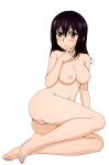  feet high_resolution himeragi_yukina nipples nude pussy strike_the_blood tagme third-party_edit uncensored very_high_resolution 