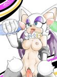  2012 areolae bat breasts clitoris collar cute english_text female furry group handjob hetero male nipples open_mouth penetration penis pussy reverse_cowgirl_position ricocake rouge_the_bat sega sex sonic_(series) text tongue tongue_out vaginal vaginal_penetration wings 