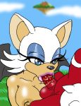  anthro areola bat big_breasts blue_eyes breasts echidna erect_nipples erection fellatio female furry hair josemalvado knuckles_the_echidna male nipples oral oral_sex penis rouge_the_bat sega sex sonic_(series) sonic_team testicles white_hair wings 