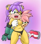  amy_rose archie_comics cute furry mina_mongoose sega sonic_(series) sonic_team sonic_the_hedgehog_(series) the_other_half 