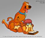  1boy 1girl ahegao anal ass beastiality blargsnarf book books bottomless brown_fur canine dog female female_human female_human/male_dog glasses hanna-barbera human jester_(artist) male male/female male_dog no_panties partially_clothed penis reading scooby scooby-doo sex short_hair sphinx_position tongue tongue_out velma_dinkley 