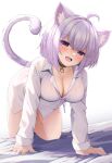 1girl 1girl :d ahoge all_fours animal_ears bakko bed_sheet big_breasts blush bottomless breasts buckle cat_ears cat_girl cat_tail cleavage collar fang heart heart-shaped_pupils high_res hololive long_sleeves looking_at_viewer nekomata_okayu nekomata_okayu_(4th_costume) official_alternate_costume on_bed open_mouth pink_shirt purple_eyes purple_hair shirt short_hair simple_background smile symbol-shaped_pupils tail virtual_youtuber white_background white_shirt