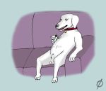 beer brian_griffin dog drink empty_set_(artist) family_guy martini martini_glass realistic