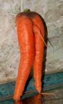  carrot food inanimate vegetable 