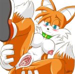 blue_eyes blush breasts canine collar crossgender female fox genderswap kitsune l1zardman miles_&quot;tails&quot;_prower millie_tailsko multiple_tails orange_fur pussy sega shoes solo sonic_(series) sonic_the_hedgehog_(series) spreading tail