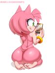  1girl 1girl 1girl amy_rose anthro ass ass back_view big_ass big_ass dat_ass delicioussoup feet female_focus female_only furry green_eyes hedgehog miles_&quot;tails&quot;_prower nude pink_body sega solo_female sonic_the_hedgehog_(series) thick_thighs toes white_background 