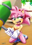  amy_rose archie_comics bbmbbf mobius_unleashed palcomix rosy_the_rascal sega sonic_the_hedgehog_(series) 