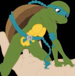  bcs teenage_mutant_hero_turtles teenage_mutant_ninja_turtles venus_de_milo 