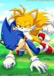  all_fours anal anal_sex bbmbbf blush fox from_behind hedgehog male/male male_only miles_&quot;tails&quot;_prower mobius_unleashed multiple_penises multiple_tails outdoors outside palcomix penis sega sex sonic sonic_(series) sonic_the_hedgehog sonic_the_hedgehog_(series) tagme tail yaoi 