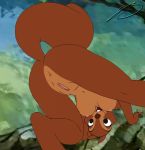  disney roary squirrel tagme the_sword_in_the_stone 