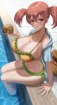 1girl 2022 big_breasts bikini blush breasts burger cleavage clothed_female eating female_focus female_only food hataraku_maou-sama! high_res hips holding_object huge_breasts long_hair looking_at_viewer massive_breasts orange_eyes orange_hair outside pool poolside sasaki_chiho silvertsuki slim_waist solo_female solo_focus swimming_pool tagme thick_thighs thighs twin_tails wide_hips