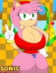 amy_rose big_breasts breasts green_eyes huge_breasts igphhangout pink_hair sega solo sonic sonic_*(series) sonic_the_hedgehog_(series) text v