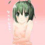 antennae bad_id bare_shoulders breasts bust female flat_chest gradient gradient_background green_eyes green_hair naze nipples nude solo touhou translated wriggle_nightbug