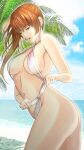 1girl alluring ass bare_shoulders beach big_breasts blue_sky breasts brown_hair cleavage cloud dead_or_alive dead_or_alive_2 dead_or_alive_3 dead_or_alive_4 dead_or_alive_5 dead_or_alive_6 dead_or_alive_xtreme dead_or_alive_xtreme_2 dead_or_alive_xtreme_3_fortune dead_or_alive_xtreme_beach_volleyball high_res kasumi kasumi_(doa) long_hair looking_down ocean one-piece_swimsuit side_ponytail sideboob silf sky sleeveless swimsuit tecmo tennessee999_(3324973) thong_one-piece_swimsuit user_tggn7272_(3324973) water