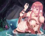  blush breasts champion hydra ragnarok_online tentacle 