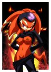  breasts clothing echidna female fire furry looking_at_viewer nipples pants pants_down purple_eyes pussy sega shade_the_echidna shirt shirt_lift solo sonic_(series) tail unknown_artist 