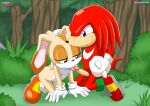  bbmbbf cream_the_rabbit knuckles_the_echidna mobius_unleashed palcomix sega 