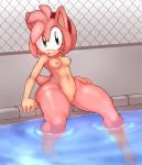  2013 amy_rose belly black_nose breasts female furry green_eyes hair headband hedgehog hindpaw looking_at_viewer midriff navel nipples nude outside paws pink_hair pink_skin pool pussy sega short_hair smile solo sonic_(series) sonicboom53 tence thick_thighs thighs water wide_hips 