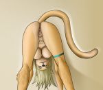  anus ass_up cat cute feline female furry looking_at_viewer nude paintchaser pussy solo upside_down 