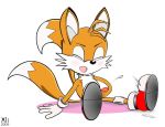  2009 miles_&quot;tails&quot;_prower multiple_tails sega sonic sonic_team tail text white_background 