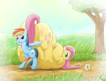 c-adepsy fluttershy friendship_is_magic morbidly_obese my_little_pony rainbow_dash