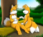  blue_eyes canine fox furry gloves grass kitsune_youkai log miles_&quot;tails&quot;_prower millie_tailsko outside pregnant sonic_(series) tree wood 