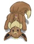 brown_fur creatures_(company) eevee eeveelution eievui_(pokemon) furry game_freak gen_1_pokemon nintendo normal_type_pokemon piss pokemon pokemon_(anime) pokemon_(creature) pokemon_(game) pokemon_(species) tail