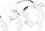  anal anus equine horse klaus_doberman spirit:_stallion_of_the_cimarron spirit_(cimarron) yaoi 
