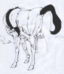  horse klaus_doberman klaus_doberman_(artist) spirit:_stallion_of_the_cimarron spirit_(cimarron) 