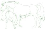  anus equine fellatio horse klaus_doberman oral presenting rain_(cimarron) spirit:_stallion_of_the_cimarron spirit_(cimarron) 