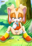 1girl anus asking_for_it bbmbbf blush bottomless cream_the_rabbit female horny looking_down mobius_unleashed no_panties outside palcomix pussy pussy_juice sega sitting solo sonic_(series) sonic_the_hedgehog_(series) spread_legs wet young 