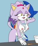  1boy 1girl anthro apron blaze_the_cat breasts cat from_behind furry hedgehog implied_sex naked_apron nipples pussy sega sonic_the_hedgehog sonic_the_hedgehog_(series) sonicguru tagme 
