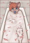  bath canine cum cum_bath cute dog female flower_petals furry looking_at_viewer nude solo tongue tongue_out vannie vannie_(character) young 
