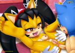  bbmbbf honey_the_cat mobius_unleashed palcomix sega sonic_the_hedgehog_(series) 