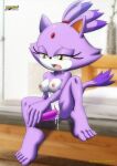  bbmbbf blaze_the_cat mobius_unleashed palcomix sega sonic_the_hedgehog_(series) 
