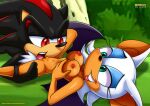  bbmbbf furry mobius_unleashed palcomix rouge_the_bat sega shadow_the_hedgehog 
