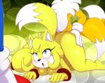  bigdon1992 miles_&quot;tails&quot;_prower nude sega sonic_boom sonic_the_hedgehog sonic_the_hedgehog_(series) tagme zooey_the_fox 