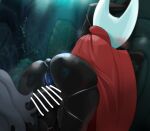 1girl big_breasts furry furry_only hollow_knight hollow_knight_(game) hornet_(hollow_knight) insect mdthetest nsfw penetration rule34 sex tagme unseen_female_face unseen_male_face