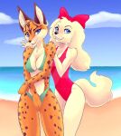  2_girls alluring anthro beach bikini dog fay_spaniel furry lynx miyu_lynx nintendo ocean sokerikaneli star_fox star_fox_2 voluptuous 