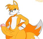 1boy absurd_res anthro balls big_penis fox furry genitals habbodude high_res huge_cock looking_at_viewer male miles_&quot;tails&quot;_prower penis sega solo sonic_the_hedgehog_(series) wide_hips