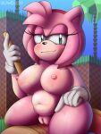  1girl 1girl 1girl alternate_version_available amy_rose anthro areola belly belly_button big_breasts blush breasts chubby chubby_female clothing fur furry furry_only gloves green_eyes green_hill_zone half-closed_eyes handwear hedgehog high_res holding_object huge_breasts jwecchi looking_at_viewer mostly_nude navel nipples nude piko_piko_hammer pink_body pink_hair puffy_pussy pussy pussy seductive sega sitting sonic_the_hedgehog_(series) thick_thighs wet 