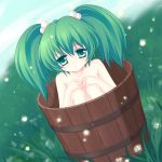  bad_id bucket female girl_in_bucket green_eyes green_hair hair_bobbles hair_ornament in_bucket in_container kisume long_hair mikazuki_sara nude solo touhou twintails 