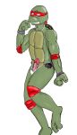  raphael tagme teenage_mutant_hero_turtles teenage_mutant_ninja_turtles 