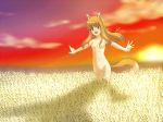  animal_ears bad_id brown_hair field holo horo long_hair nude outstretched_arms red_eyes s-no spice_and_wolf spread_arms sunset tail wheat wolf_ears 
